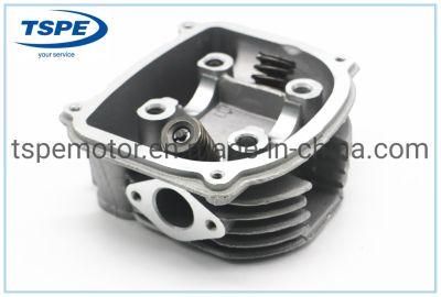 Motorcycle Engine Parts Motorcycle Cylinder Head for CS 125