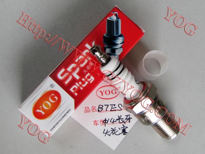 Good Quality Motorcycle Spare Spark Plug Bujia Motor 10 12 14 mm