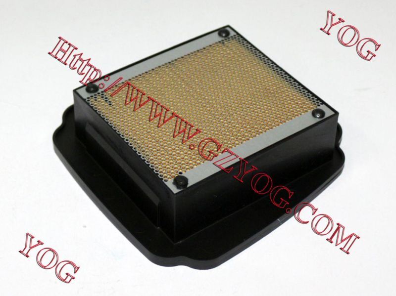 Motorcycle Parts Motorcycle Air Cleaner for Borss/Titan150