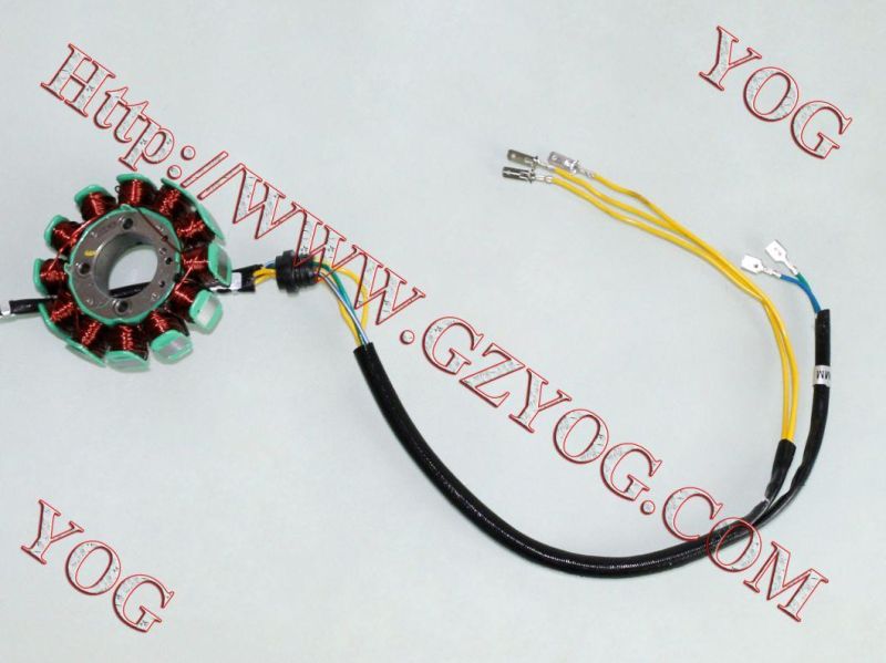 Motorcycle Parts Magneto Coil Stator Cg125 Gn125