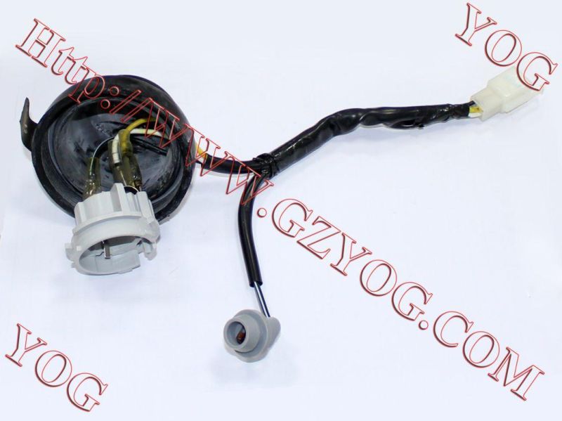 Yog Motorcycle Socket, Headlight/Bulb Holder/Bulb Sitting/Head Lamp Sitting for Different Models