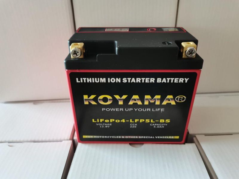 Storage Lithium Ion Motorcycle Battery LFP7-a Battery Motorcycle