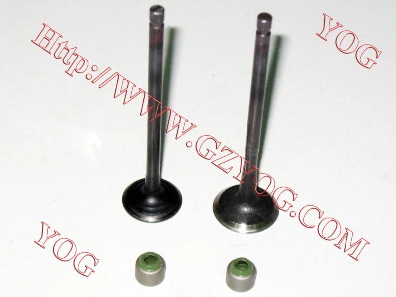 Yog Motorcycle Spare Parts Valve and Oil Seal for Tvs Star Bajaj Bm100esks An125