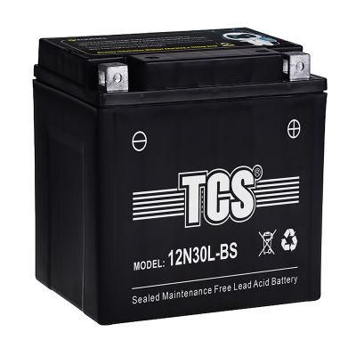 TCS Motorcycle Battery Sealed Maintenance Free 12N30L-BS