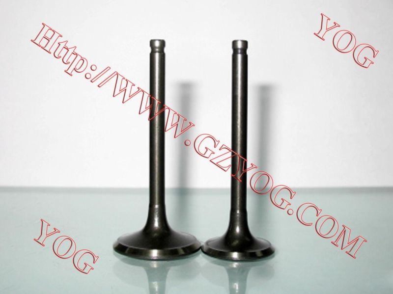 Motorcycle Engine Valve Kit Valvulas CB250 CB110 Wy125