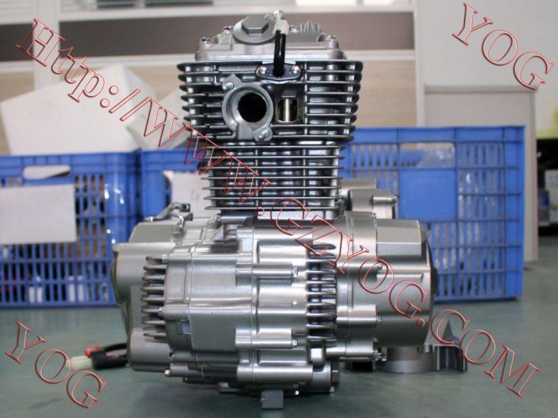 Motorcycle Parts, Motorcycle Engine Complete for Honda Zongsheg Lifan Loncin Dayun 125cc 150cc 200cc 250cc