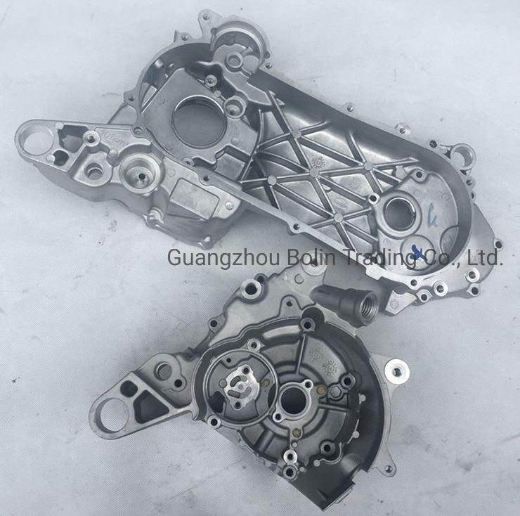 Motorcycle Part Motorcycle Engine Cover for Wh100t