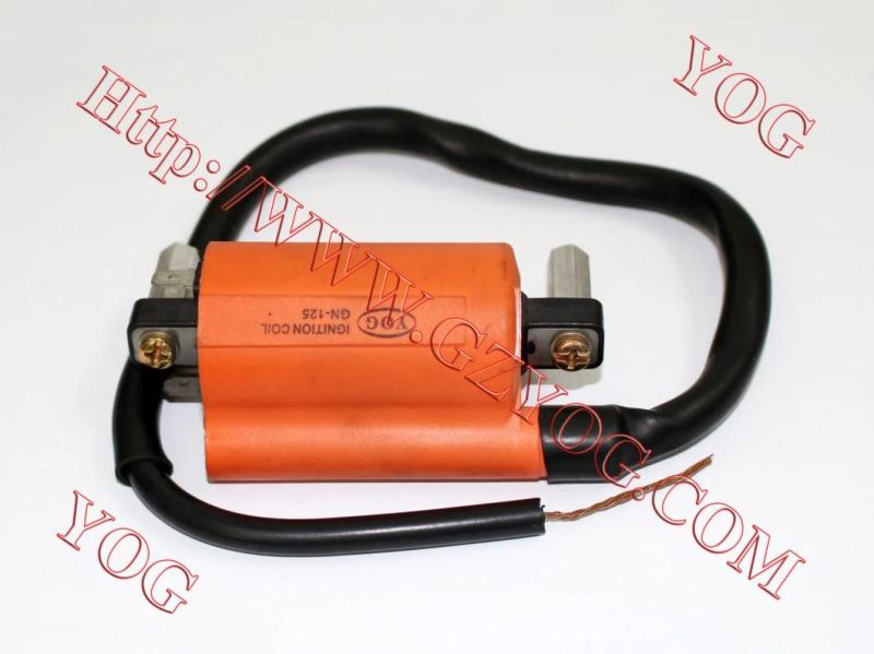 Yog Motorcycle Spare Parts Ignition Coil for Ax100, Tvs Star Hlx125, , Xls125