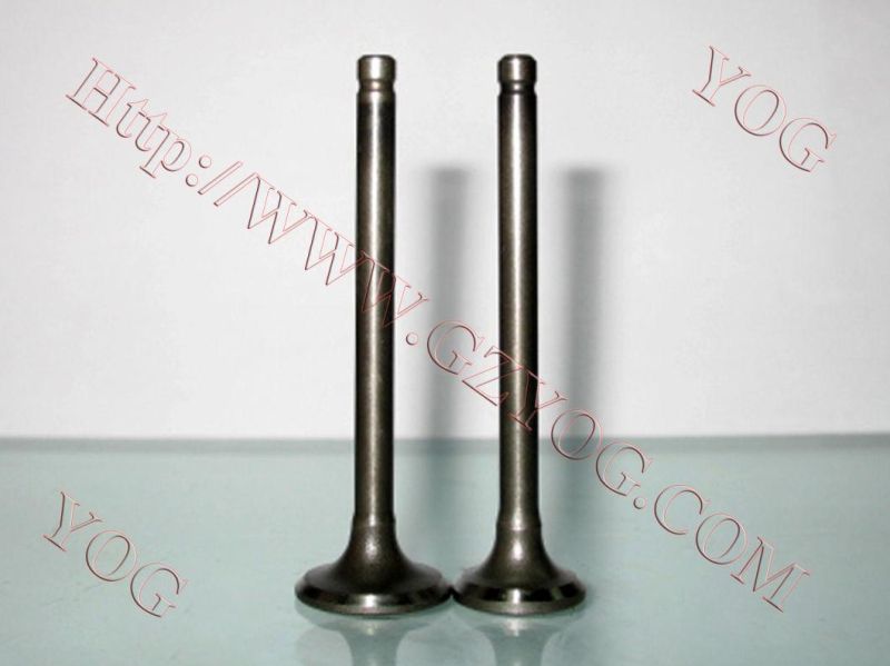 Motorcycle Spare Parts Aluminum Alloy Valve Set Ybr125 Fz16