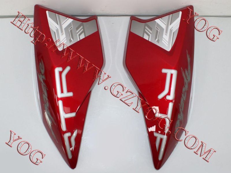 Motorcycle Spare Parts Oil Tank Fuel Tank Side Cover for Traxx150 Gxt200
