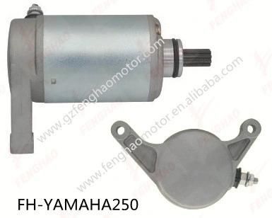 Motorcycle Spare Parts High Quaity Starter Motor YAMAHA Xr250/Xv250/YAMAHA250