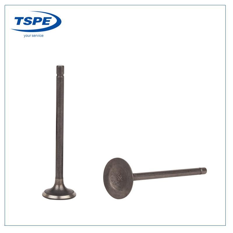 Motorcycle Engine Intake Valve and Exhaust Valve Dt125 FT125