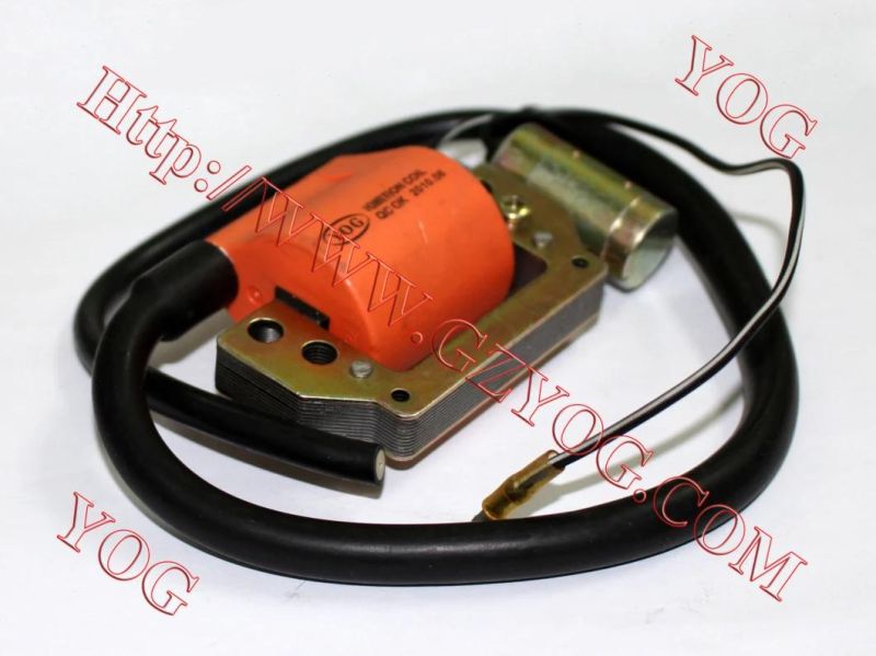 Yog Motorcycle Spare Parts Ignition Coil for Bajaj Boxer, C50, CD70