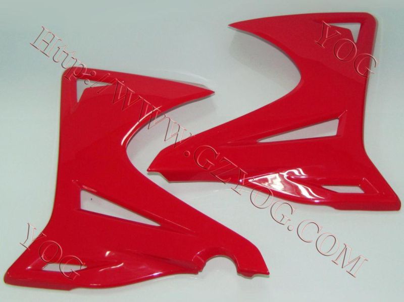 Motorcycle Spare Parts Oil Tank Fuel Tank Side Cover for Tx 200gy/Skr200