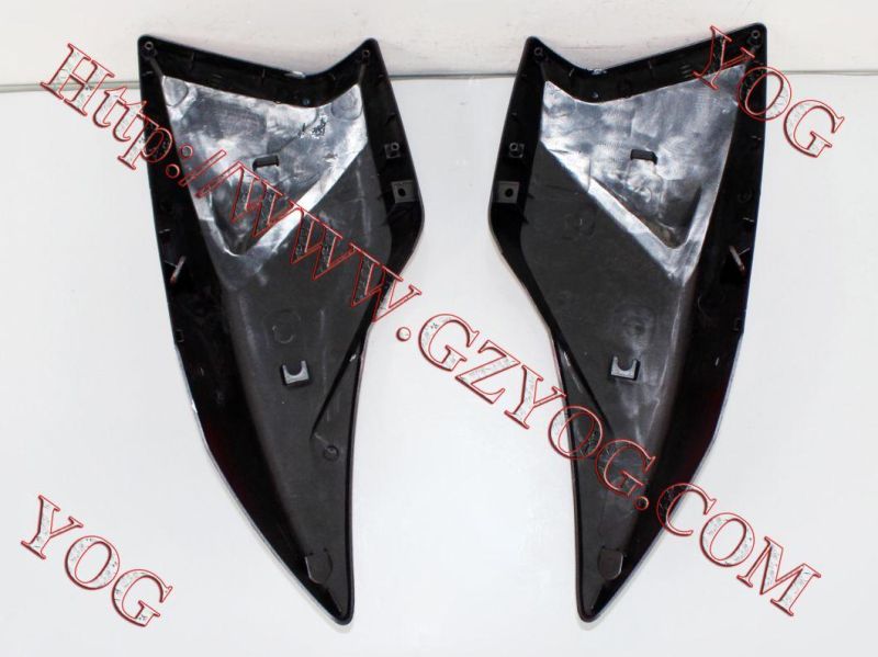 Motorcycle Spare Parts Oil Tank Fuel Tank Side Cover for Traxx150 Gxt200