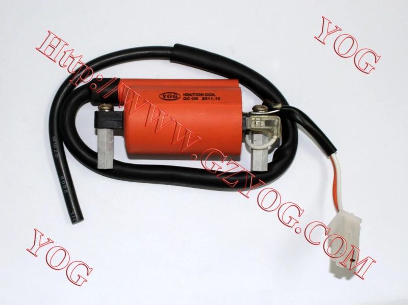 Yog Motorcycle Spare Parts Ignition Coil for Ax100, Tvs Star Hlx125, , Xls125