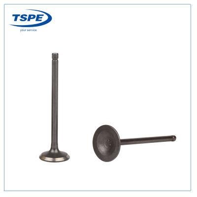 Motorcycle Parts Engine Intake Exhaust Valve for Fz16
