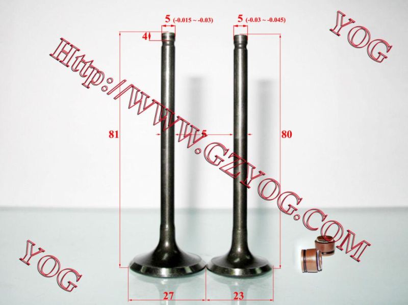 Motorcycle Valve for Outlook-150/CD110