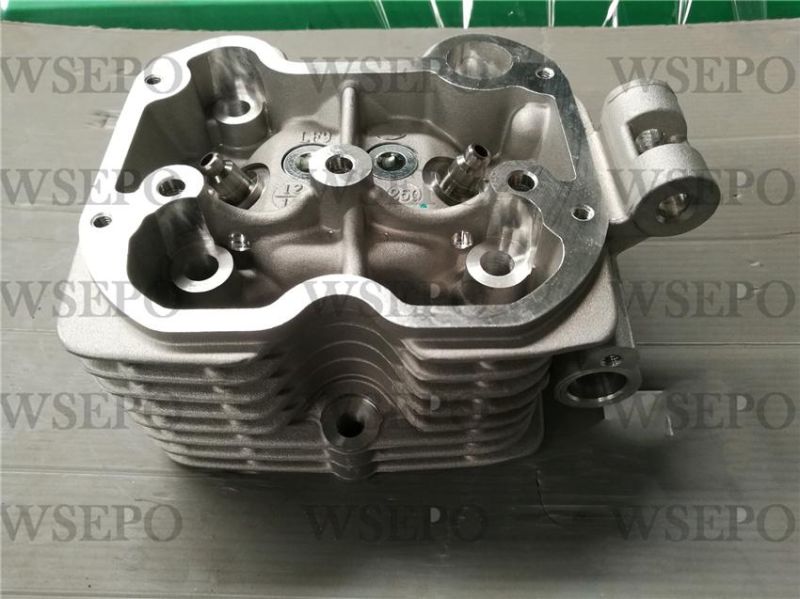 Cg300 Dual Cool Cylinder Head Fits for Zongshen Loncin Lifan Xingyuan Yinxiang 300cc Type Motorcycle