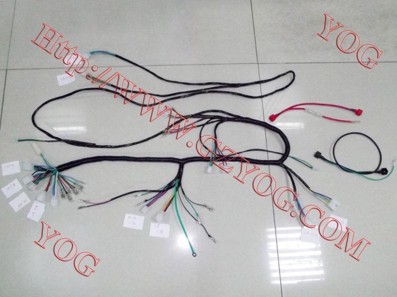 Motorcycle Main Wire Main Hardness Instalacion Electrica Gn125 Dt175K Cgl125