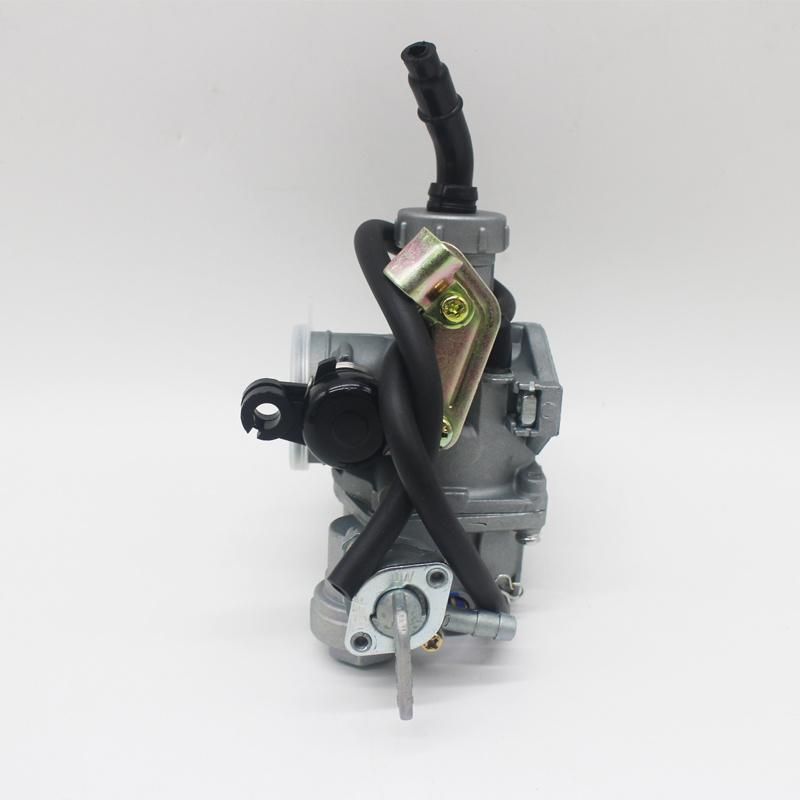 Motorcycle Engine Parts Motorcycle Carburetor for at-110