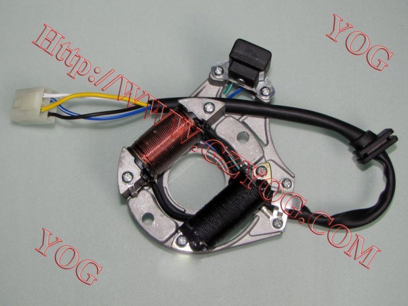 Motorcycle Spare Parts Magneto Coil Dy100 Biz100 Titan125