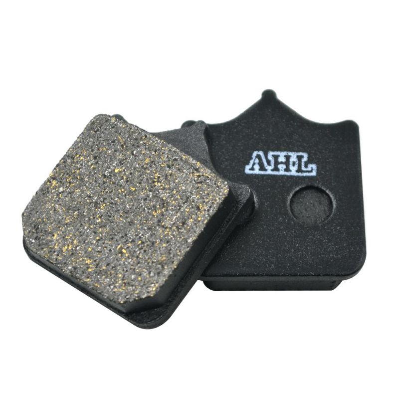 Fa604 Motorcycle Front Brake Pads for BMW S1000r