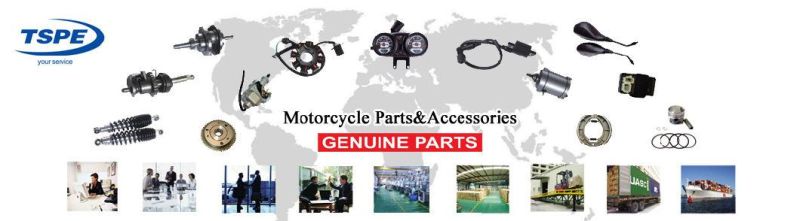 Motorcycle Air Filter Assy Motorcycle Accessory for Italika Ws-150