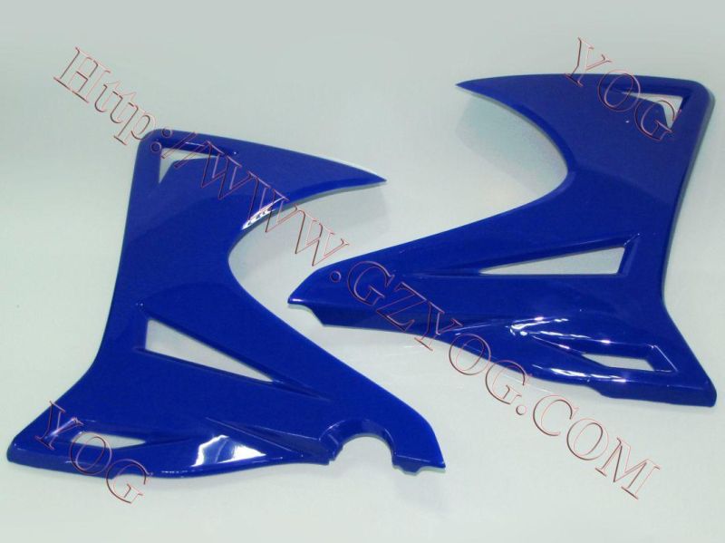 Motorcycle Spare Parts Oil Tank Fuel Tank Side Cover for Tx 200gy/Skr200