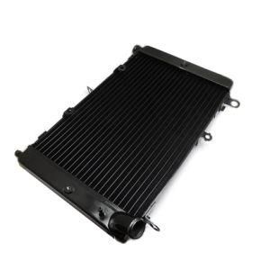 Frdya015 Motorcycle Parts Aluminum Radiator for YAMAHA Fzs1000 1998-2003