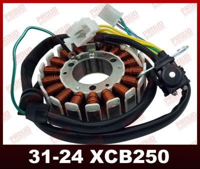 Xcb250 Magneto Coil High Quality Motorcycle Spare Parts