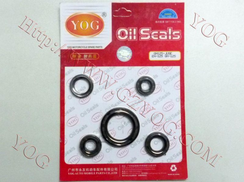 Motorcycle Engine Oil Seal Kit Dy100 Bm100 Cbf150