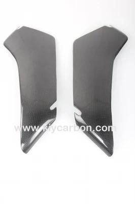 Motorcycle Carbon Part Fairing Air Scoops for Ducati 749 999