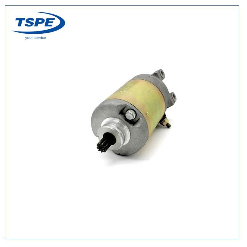 High Quality Electric Starting Motorcycle Parts Honda-250 Starter Motor