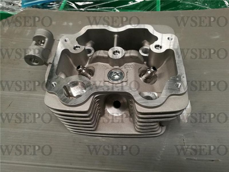 Cg250 Dual Cool Cylinder Head Fits for Zongshen Loncin Lifan Xingyuan Yinxiang 250cc Type Motorcycle