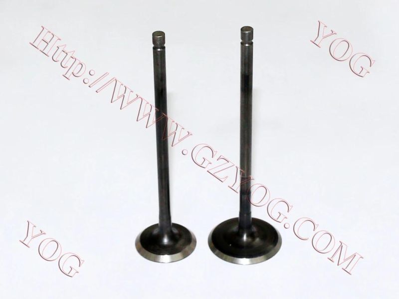 Motorcycle Spare Parts Engine Part Valve for Bajajpulsar135 Ugboss125 Shogun