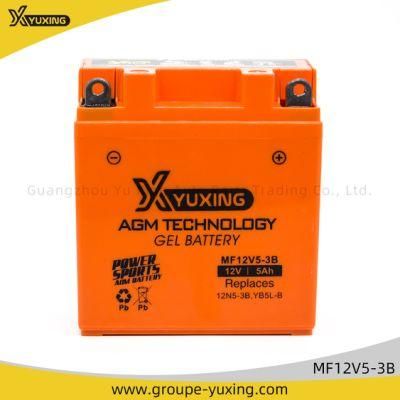 Motorcycle Parts Motorcycle Accessories Motorcycle Battery (MF12V5-3B)