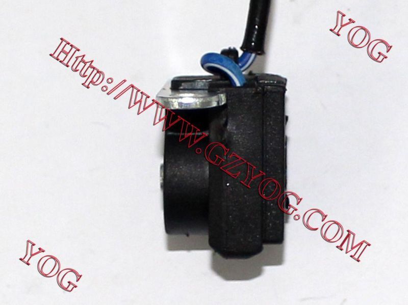 Yog Motorcycle Parts Motorcycle Magneto Coil for Cg200 Three Wheelers Tricycle