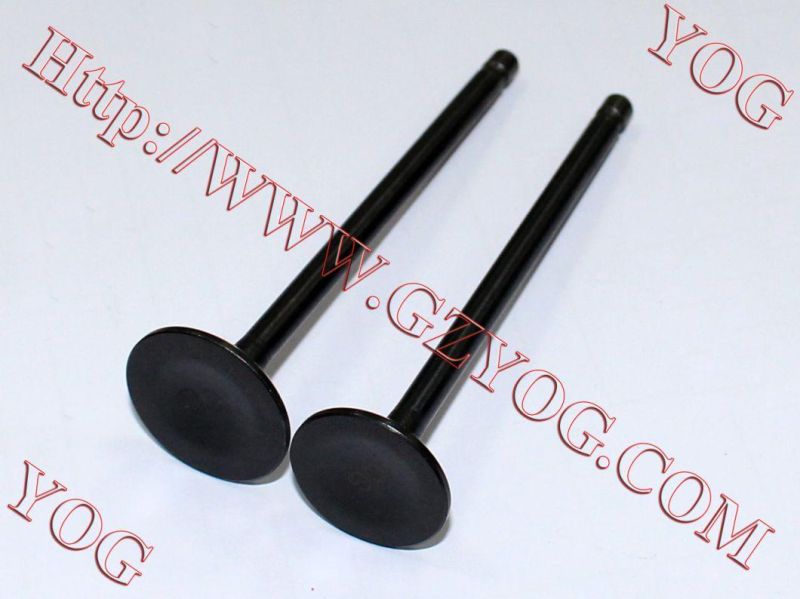 Yog Motorcycle Spare Parts Valve for C125 Titan02 Ugboss125
