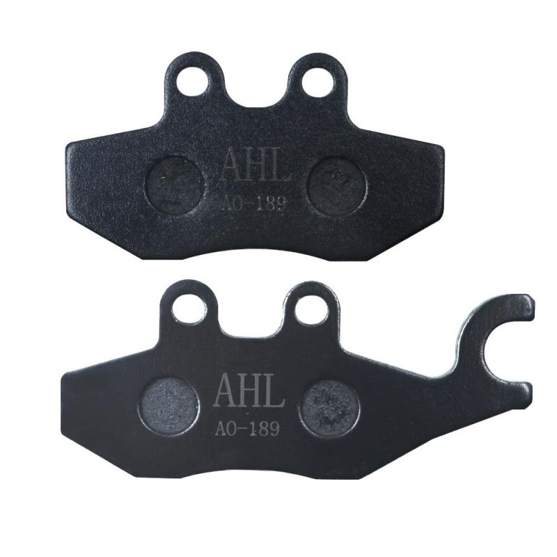 Fa194 Motorcycle Parts Brake Pad for Malaguti Xsm 50 Supermotard