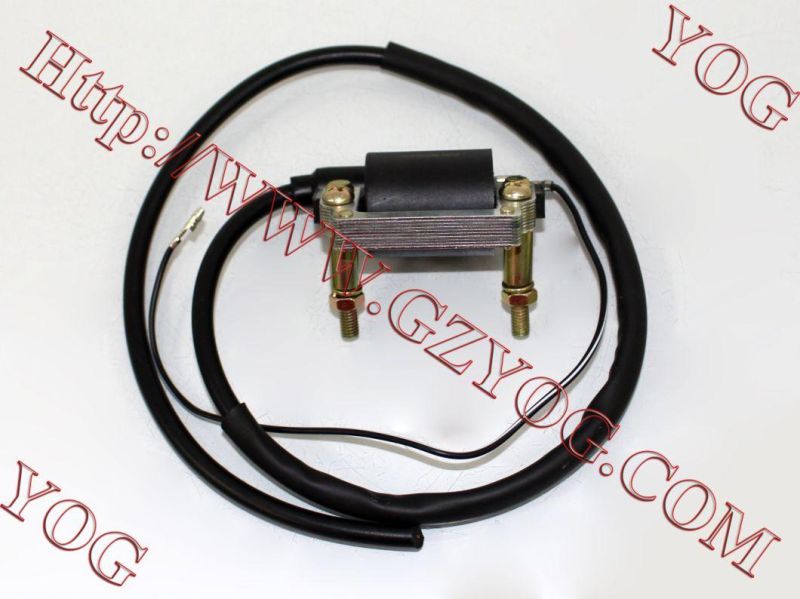 Yog Motorcycle Parts Motorcycle Ignition Coil for Yb100