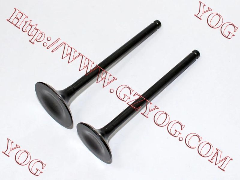 Motorcycle Engine Valvulas Valve Kit Hlx150