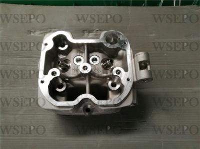 Cg300 Dual Cool Cylinder Head Fits for Zongshen Loncin Lifan Xingyuan Yinxiang 300cc Type Motorcycle