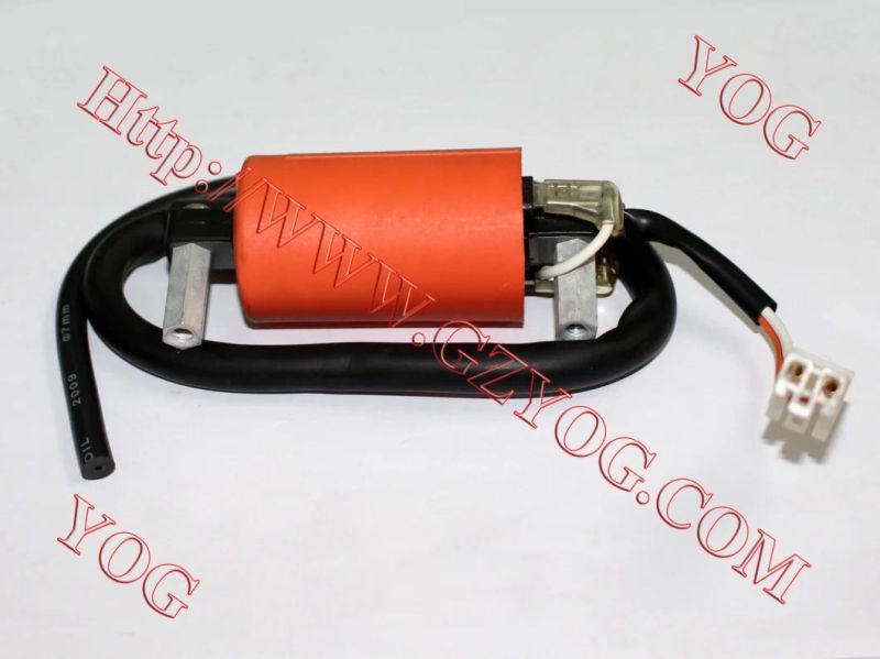 Yog Motorcycle Spare Parts Ignition Coil for Ax100, Tvs Star Hlx125, , Xls125