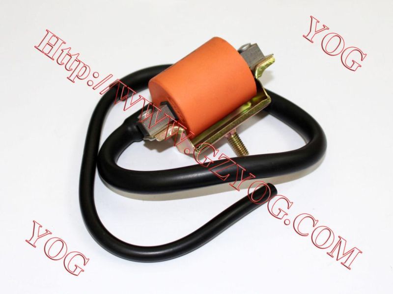 Motorcycle Spare Parts Motorcycle Electric Ignition Coil Gn125 GS125 Gy6125