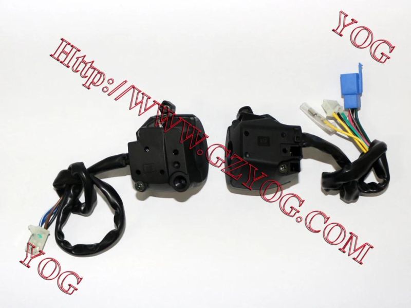 Yog Motorcycle Parts Motorcycle Handle Switch/Handle Bar Switch Assy for Bajaj/Hj125/Tvs