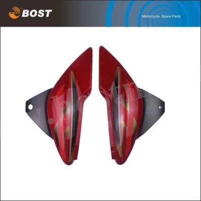 Motorcycle Body Parts Motorcycle Side Cover for Bajaj Discover 135 Motorbikes