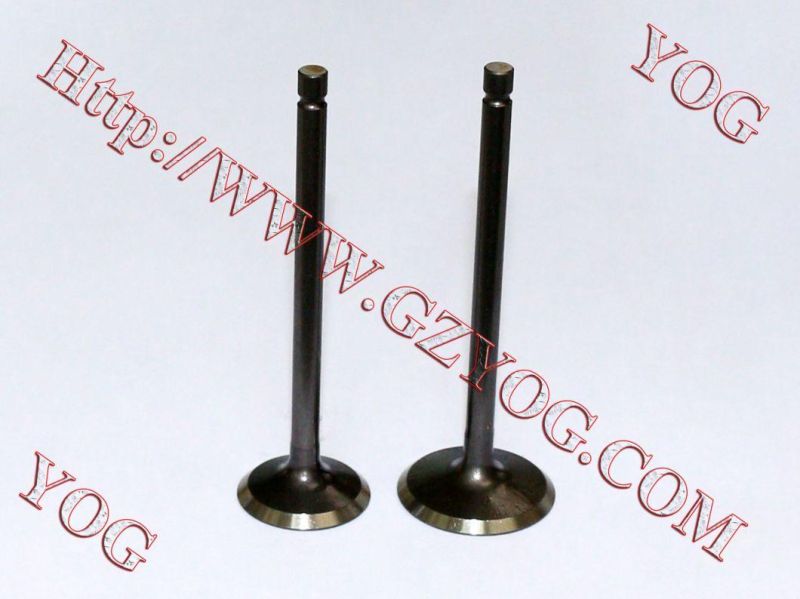 Yog Motorcycle Spare Parts Valve for C125 Titan02 Ugboss125