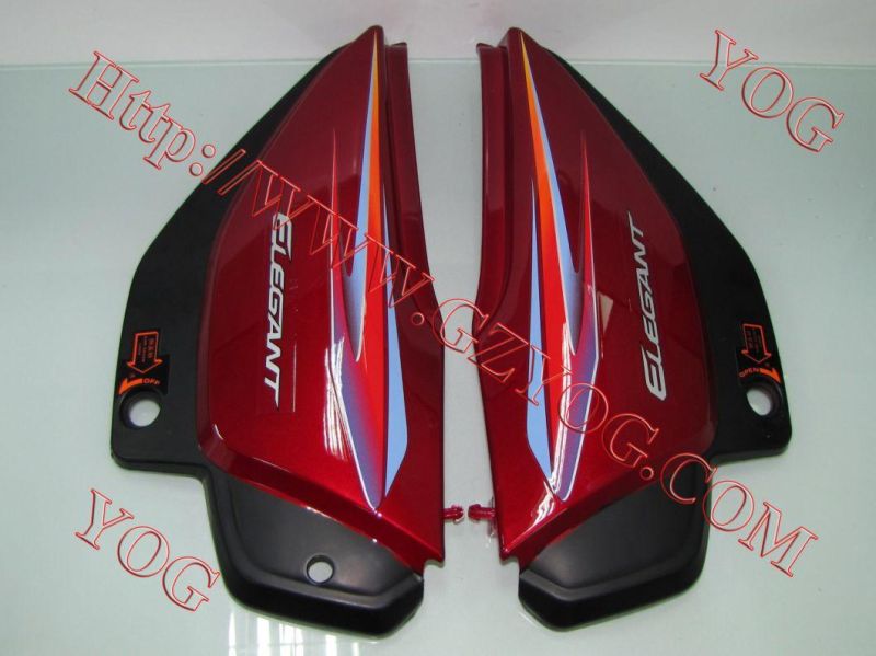 Motorcycle Spare Parts Body Side Cover Horse Wy Cgl