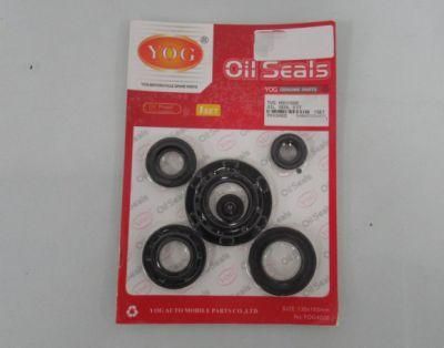 Motorcycle Engine Oil Seal Kit Bm150 Ax100 Cg125